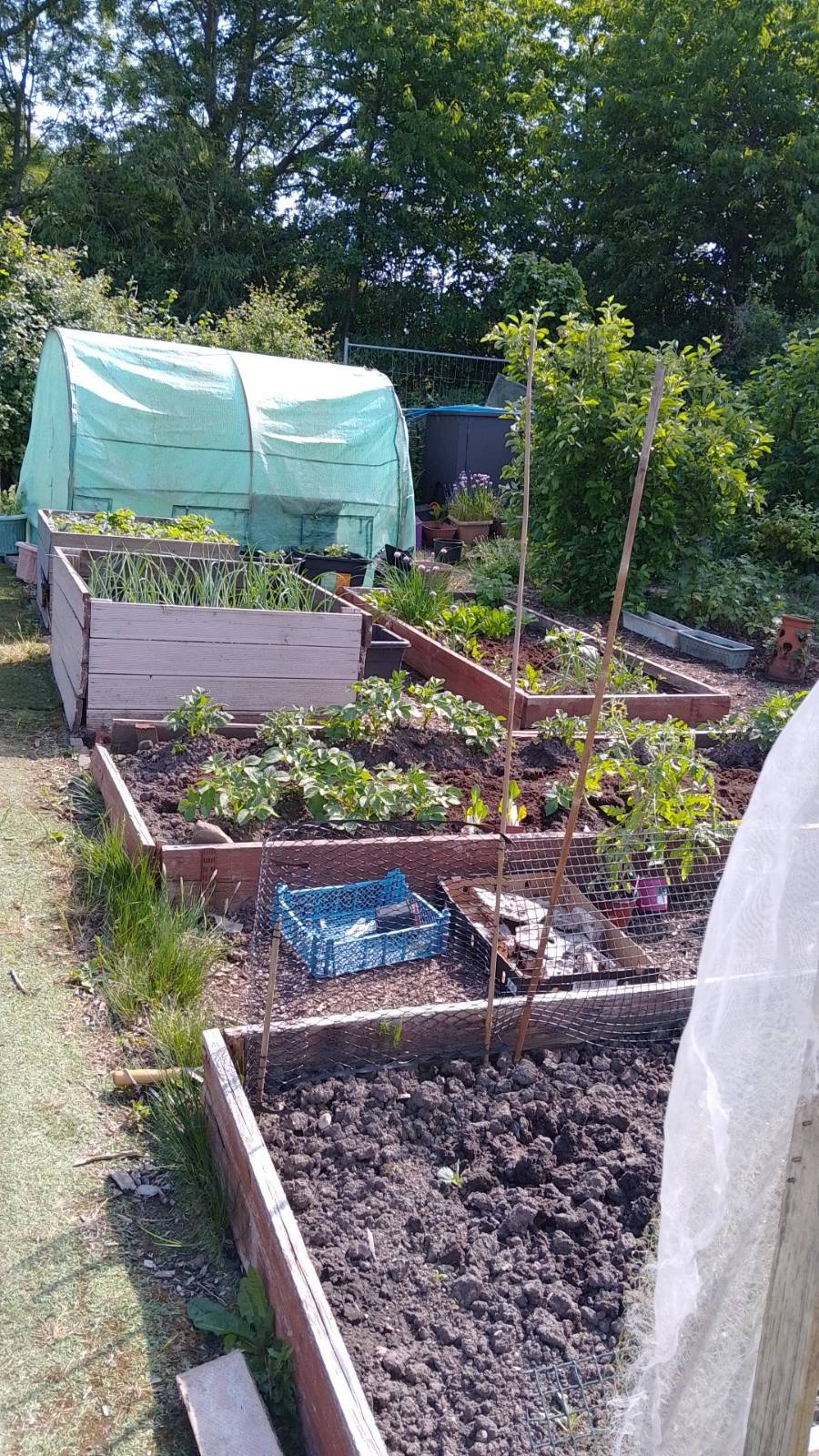 Allotment group