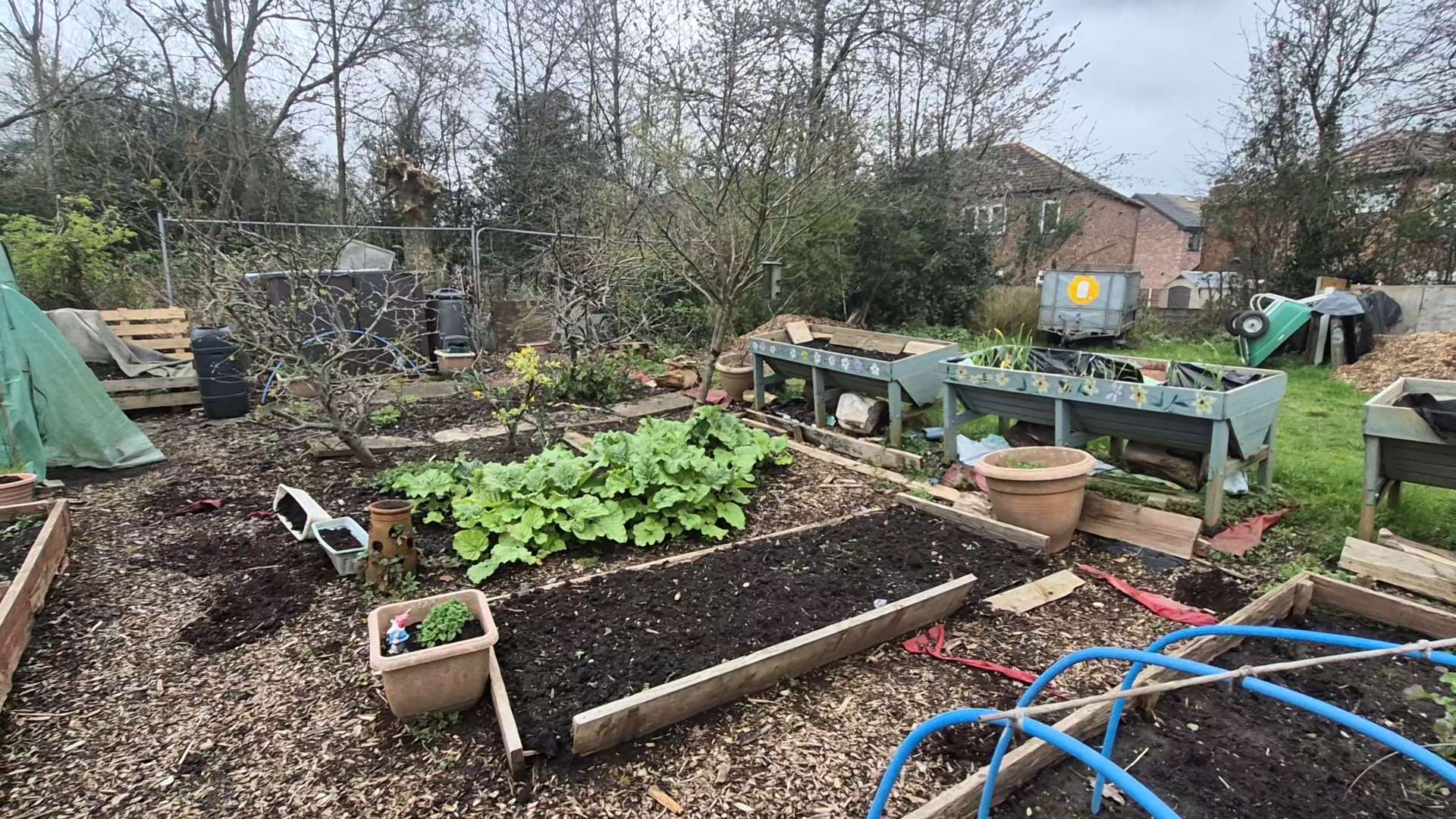 The allotment when we first took it on in April